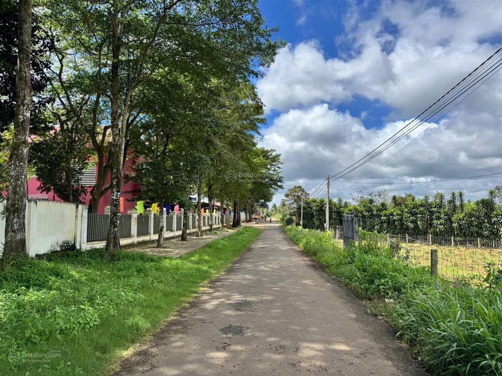 Chủ bán gấp tại xã hoà ninh, di linh, lâm đồng, 2,28 tỷ, 202m2, chính chủ hot