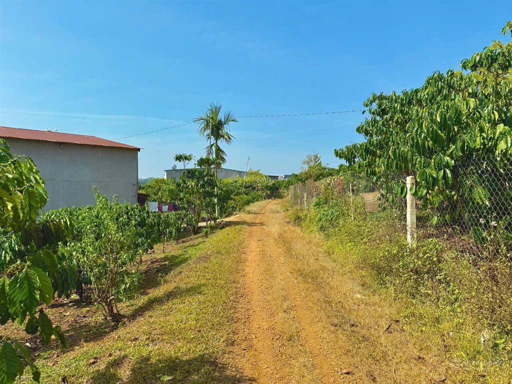 Bán gấp tại xã hoà ninh, di linh, lâm đồng, 1,1 tỷ, cơ hội đầu tư tốt chỉ với giá hợp lý