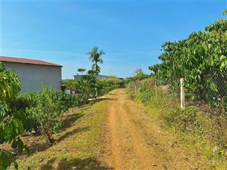 Bán gấp tại xã hoà ninh, di linh, lâm đồng, 1,1 tỷ, cơ hội đầu tư tốt chỉ với giá hợp lý