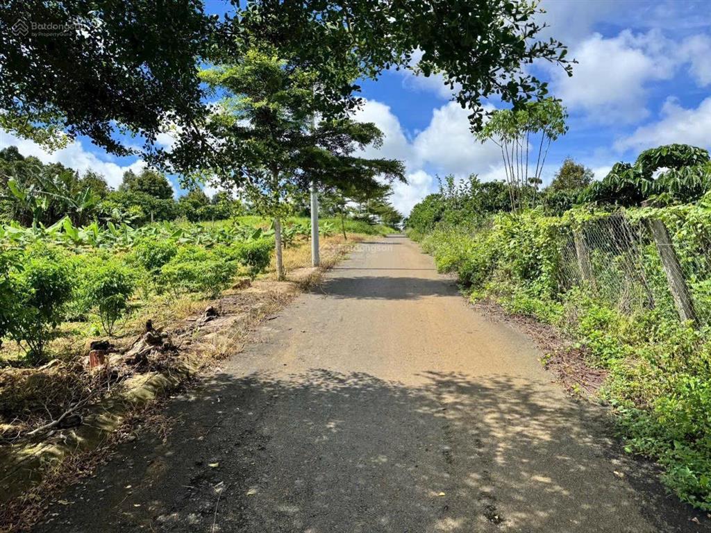 Bán đất đẹp tại xã hoà ninh, huyện di linh, lâm đồng, 1,25 tỷ, 120m2