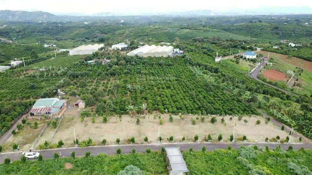Bán đất đẹp tại xã hoà ninh, di linh, lâm đồng, 1,2 tỷ, 100m2