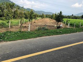 Kẹt xử lý công việc cuối năm cần bán gấp lô siêu đẹp xã hoà bắc, di linh, lâm đồng