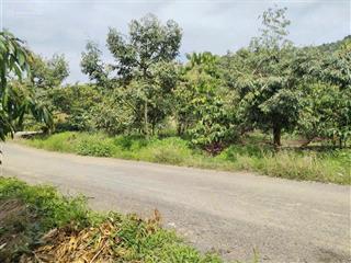 Chính chủ bán nhanh 200m2 tại xã hoà ninh, di linh, lâm đồng, 2,25 tỷ