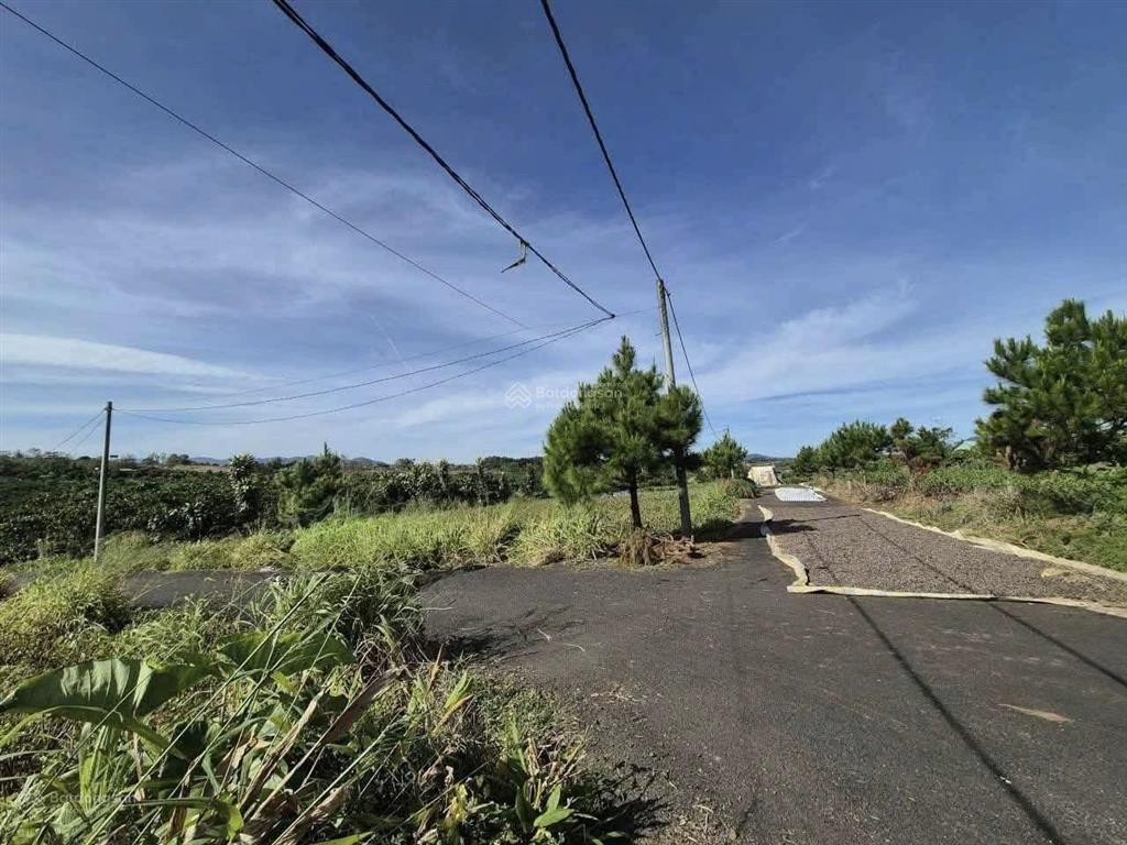 Bán đất tại xã hoà ninh, di linh, lâm đồng, 1,35 tỷ, chính chủ