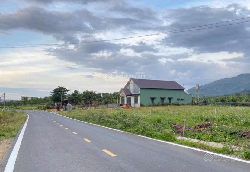 Bán gấp lô xã hoà bắc, di linh, lâm đồng, 1,2 tỷ