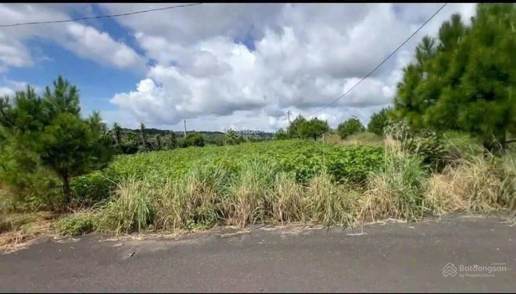 Bán gấp lô xã hoà bắc, di linh, lâm đồng, 1,2 tỷ