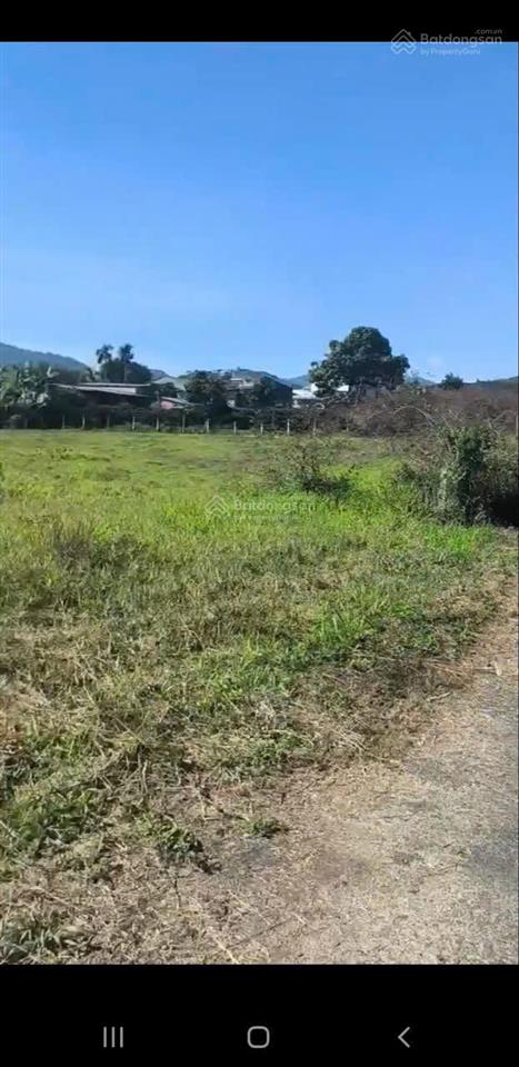 Bán gấp lô xã hoà bắc, di linh, lâm đồng, 1,2 tỷ