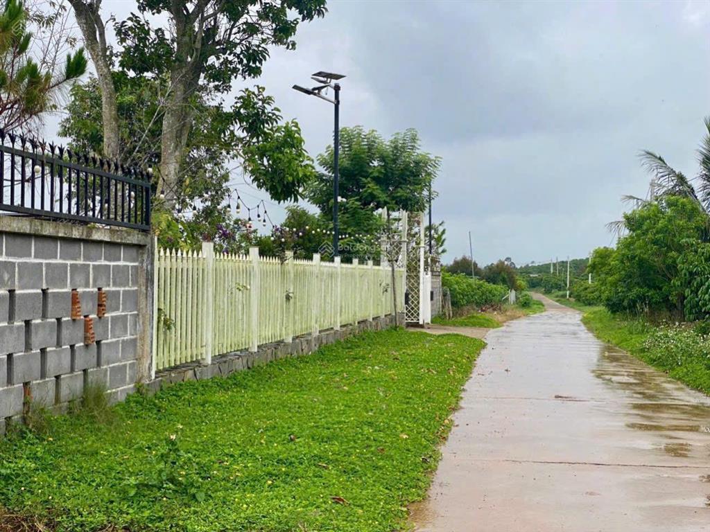 Chính chủ ngộp cần bán gấp trong tuần lô xã hoà ninh, di linh, lâm đồng