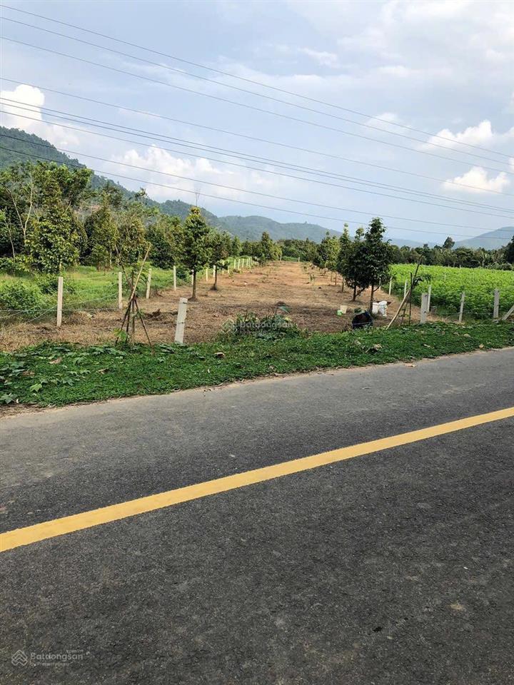 Kẹt xử lý công việc cuối năm cần bán gấp lô siêu đẹp xã hoà bắc, di linh, lâm đồng