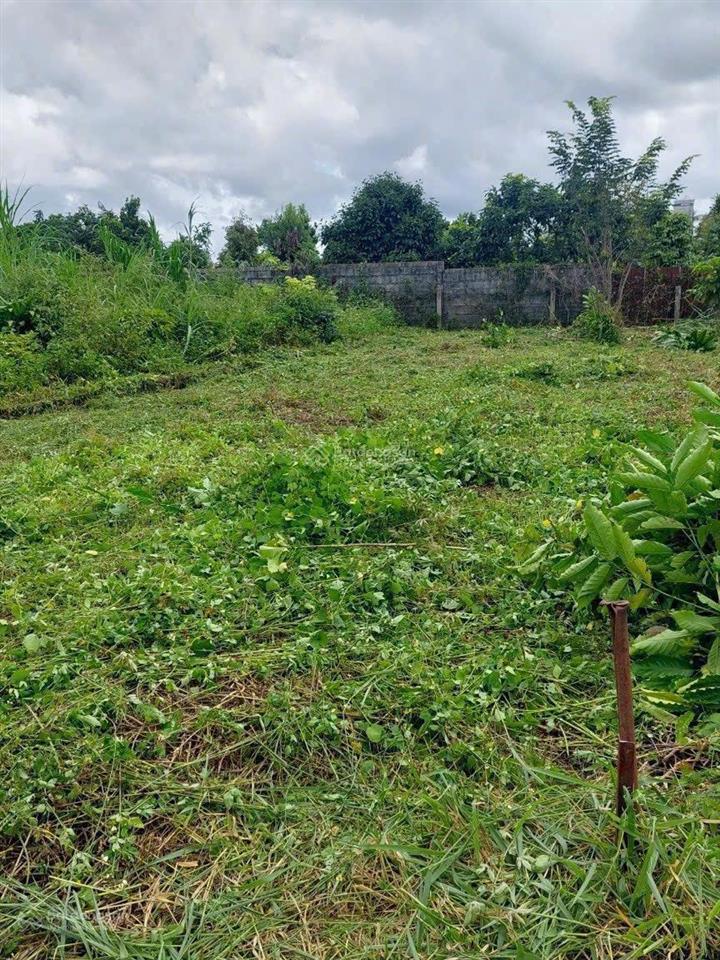 Cần bán nhanh lô đất tại xã hoà ninh, di linh, lâm đồng