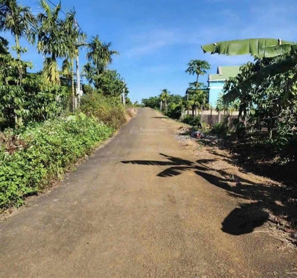 Bán nhanh trong tuần xã hoà ninh, di linh, lâm đồng, 1,85 tỷ, 205m2  chính chủ hàng hiếm