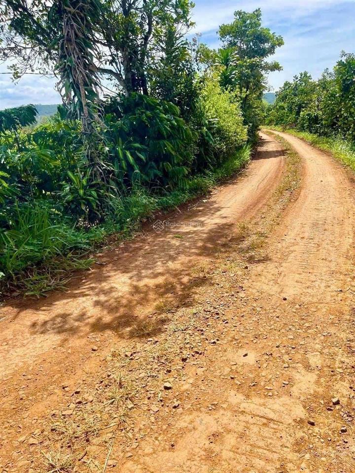 Bán đất tại xã hoà ninh, di linh, lâm đồng, 1,29 tỷ, 115 m2