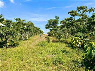 Bán đất tại xã hoà ninh, di linh, lâm đồng, 1,29 tỷ, 115 m2