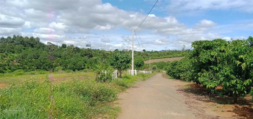 Ngộp bán gấp lô xã hoà ninh, huyện di linh, lâm đồng, 1,8 tỷ