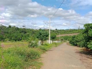 Ngộp bán gấp lô xã hoà ninh, huyện di linh, lâm đồng, 1,8 tỷ