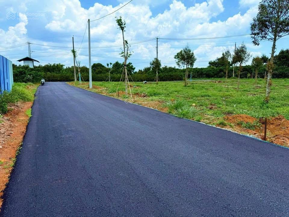 Bán đất tại lộc an, 1,65 tỷ, 100m2, giá siêu hời chính chủ