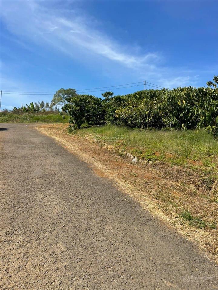 Bán gấp lô l xã hoà ninh, di linh, lâm đồng, giá siêu hời 2,3 tỷ, 200m2