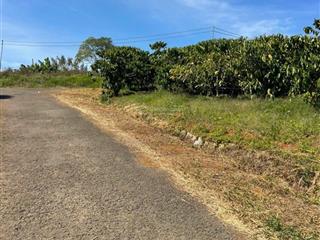 Bán gấp lô l xã hoà ninh, di linh, lâm đồng, giá siêu hời 2,3 tỷ, 200m2