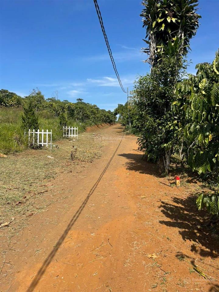 Bán gấp lô l xã hoà ninh, di linh, lâm đồng, giá siêu hời 2,3 tỷ, 200m2