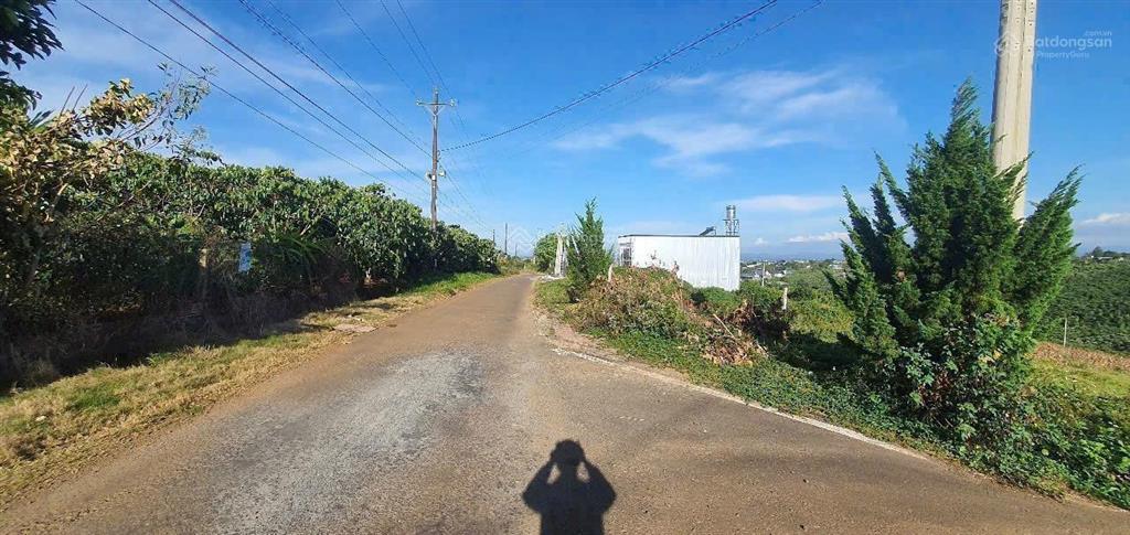 Bấn gấp xã hoà ninh, di linh, lâm đồng, 1,3 tỷ, 120m2