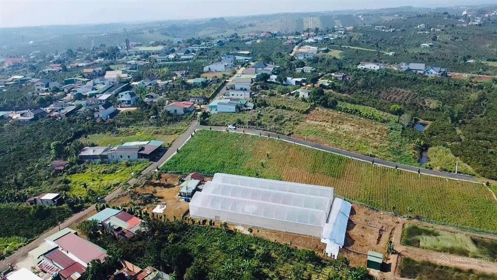 Lô gần trung tâm xã hoà ninh, di linh, lâm đồng, giá 1,3 tỷ