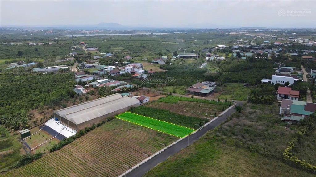 Lô gần trung tâm xã hoà ninh, di linh, lâm đồng, giá 1,3 tỷ
