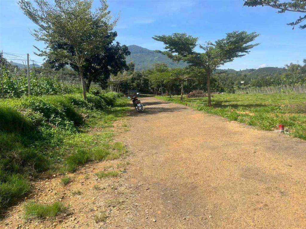 Bán đất tại xã hoà ninh, huyện di linh, lâm đồng, 1,2 tỷ, 105 m2