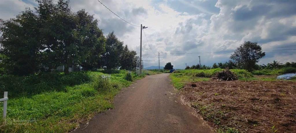Bán đất tại xã hoà ninh, huyện di linh, lâm đồng, 1,2 tỷ, 105 m2