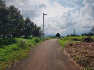 Bán đất tại xã hoà ninh, huyện di linh, lâm đồng, 1,2 tỷ, 105 m2