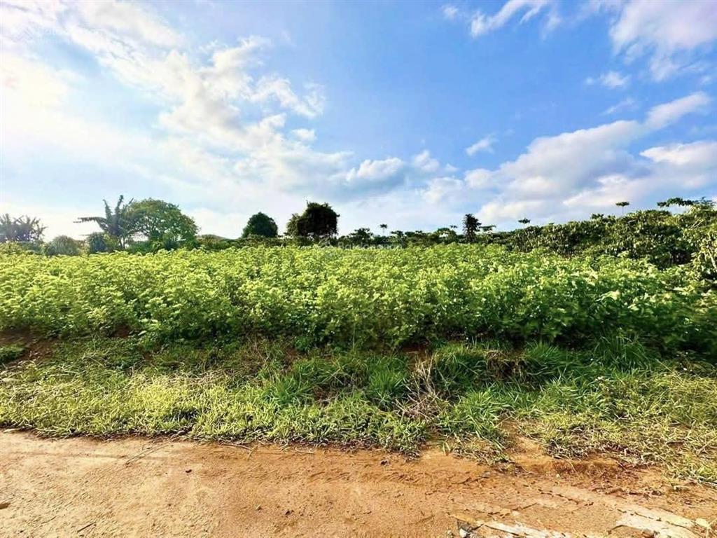 Bán đất 110m2 tại xã hoà ninh, di linh, lâm đồng, giá 1,150 tỷ