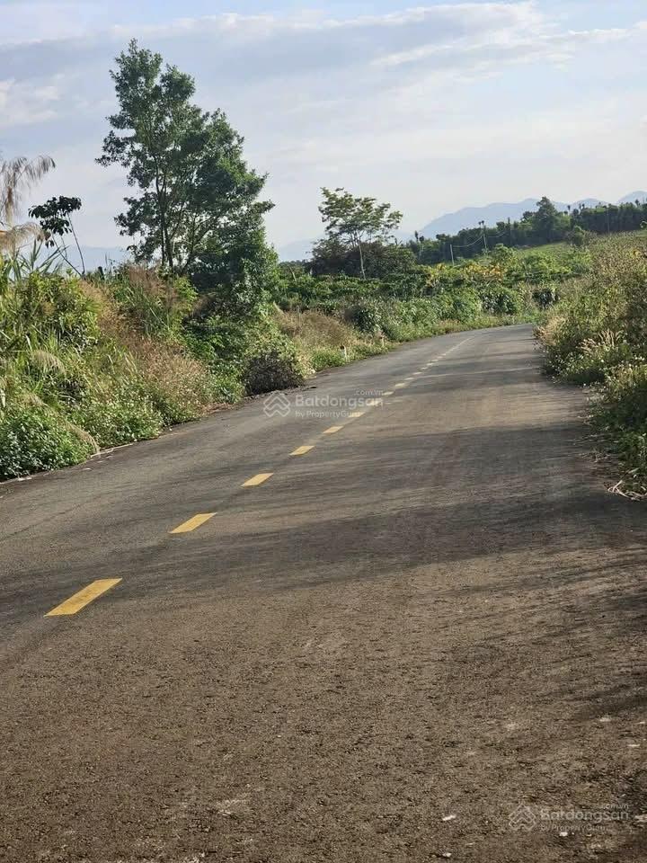 Cần bán gấp lô thổ cư tại xã hoà ninh, di linh, lâm đồng