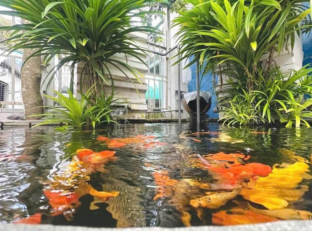 Bán nr tại song hành 22, 3,725 tỷ, 110m2, 3pn, 2wc, 2 tầng, mặt tiền 10m