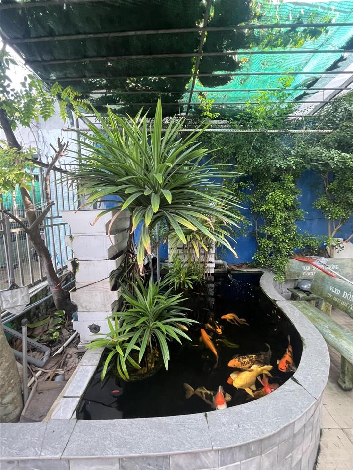 Bán nr tại song hành 22, 3,725 tỷ, 110m2, 3pn, 2wc, 2 tầng, mặt tiền 10m