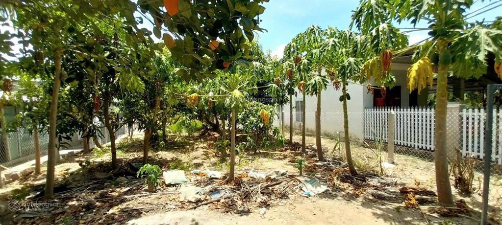 Bán gấp nhà thôn an ninh, diên an, giá tốt nhất trong khu vực