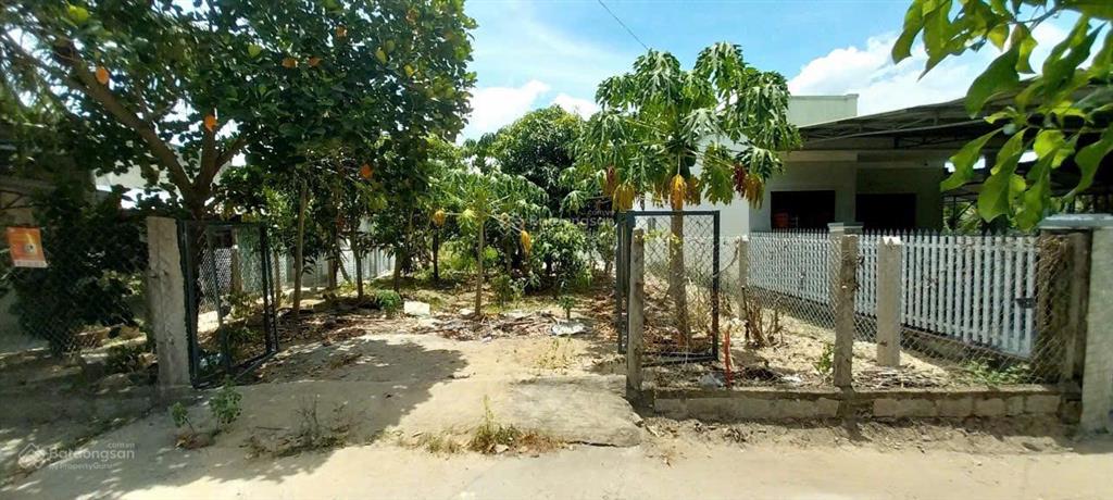 Bán gấp nhà thôn an ninh, diên an, giá tốt nhất trong khu vực