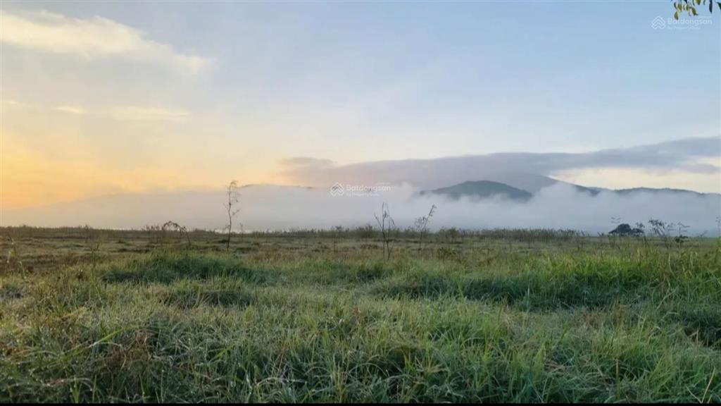 Bán nhanh đất luc, ninh xuân, ninh hòa, khánh hòa