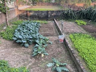 Chính chủ cẩn bán đất 45 m2 phú sơn  gia lâm, gia 2.65 tỷ,  0985 865 ***