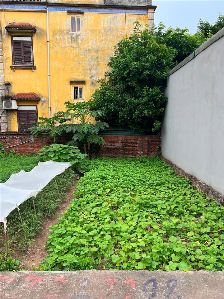 Hàng hiếm lệ chi thuận an | 44,6m | mt 5,2m | ô tô vào tận đất | nhỉnh 2 tỷ