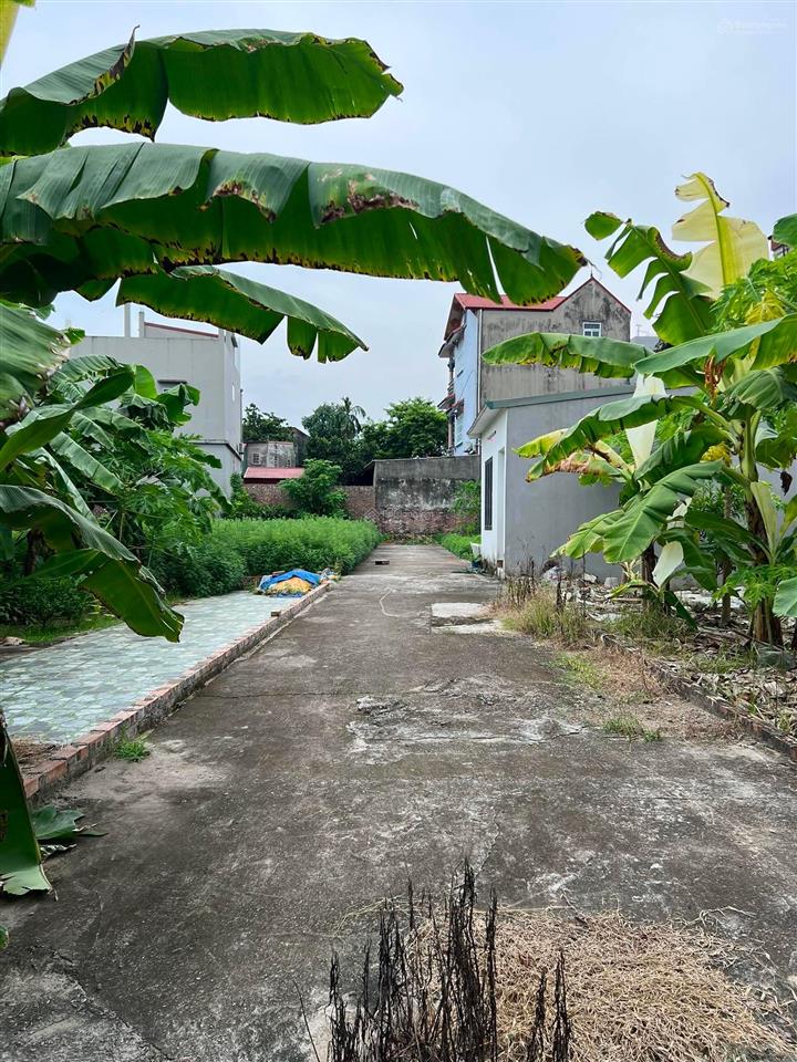 Hàng hiếm lệ chi thuận an | 44,6m | mt 5,2m | ô tô vào tận đất | nhỉnh 2 tỷ