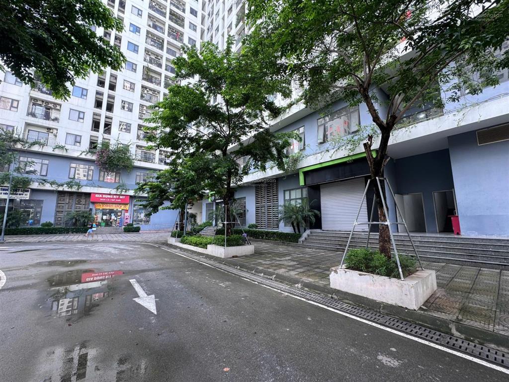 Bán shophouse ecohome 3, 46 triệu / m2, 74m2, mặt tiền 10m2  tầng 1 làm kinh doanh văn phòng
