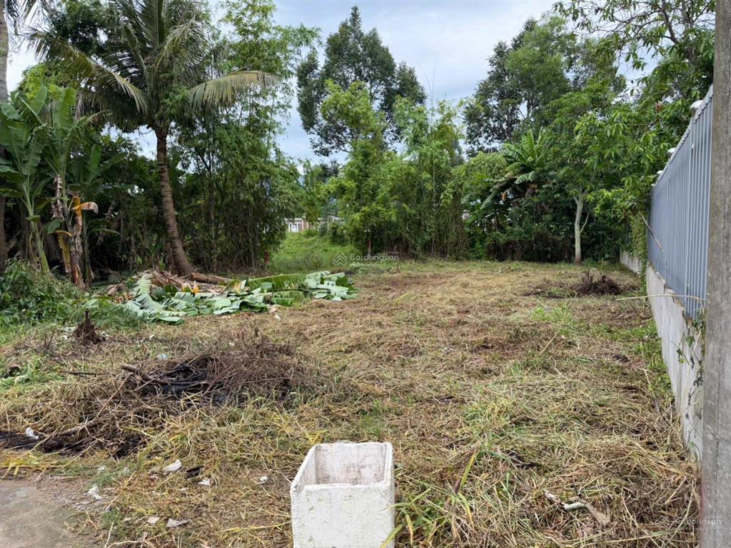 Gần 500m2 full thổ cư tt cần giuộc. giá 2,9tỷ