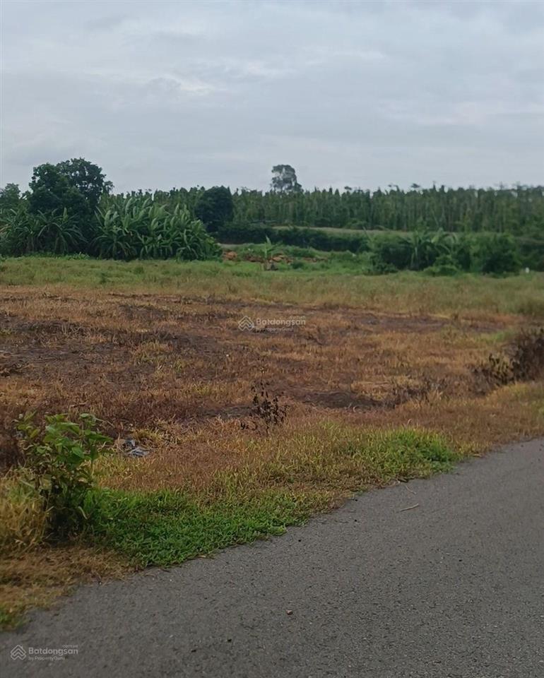 Bán đất mặt tiền nhựa ôm đất dài 320m, cách ngã 6 đá bạc chỉ 3km