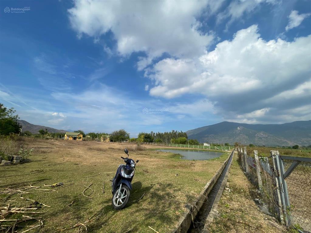 Chính chủ bán nhanh 3.5ha đất ninh thuận giá 3,5 tỷ tl, đường nhựa xe tải tới đất.  0937 379 ***