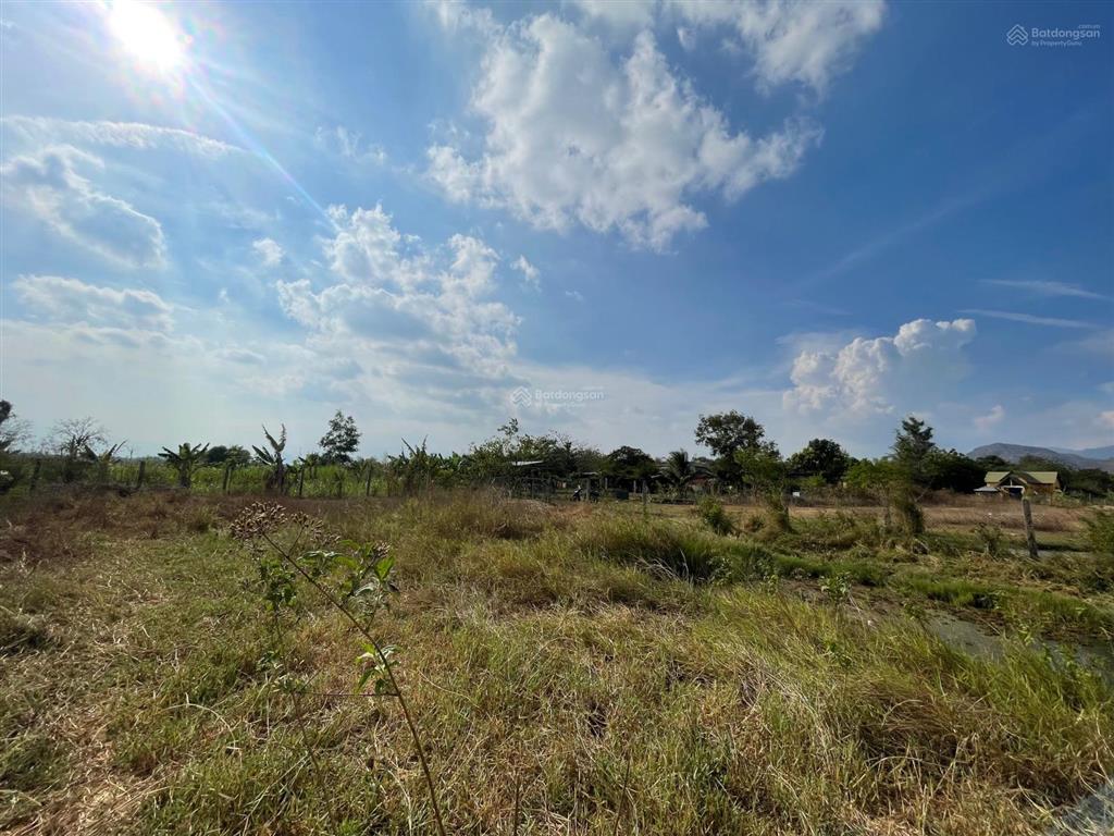 Chính chủ bán nhanh 3.5ha đất ninh thuận giá 3,5 tỷ tl, đường nhựa xe tải tới đất.  0937 379 ***