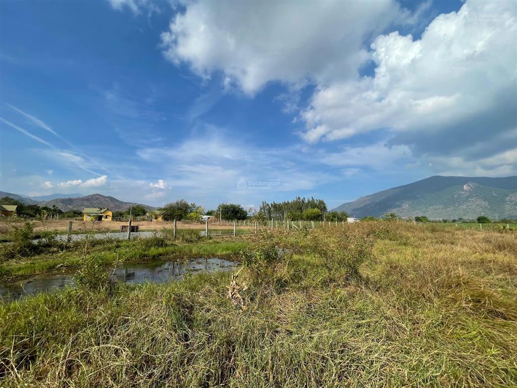 Chính chủ bán nhanh 3.5ha đất ninh thuận giá 3,5 tỷ tl, đường nhựa xe tải tới đất.  0937 379 ***