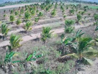 Chính chủ bán 3.5ha đất bác ái  khánh hoà giá 3,3 tỷ tl, đường nhựa xe tải tới đất.  0937 379 ***