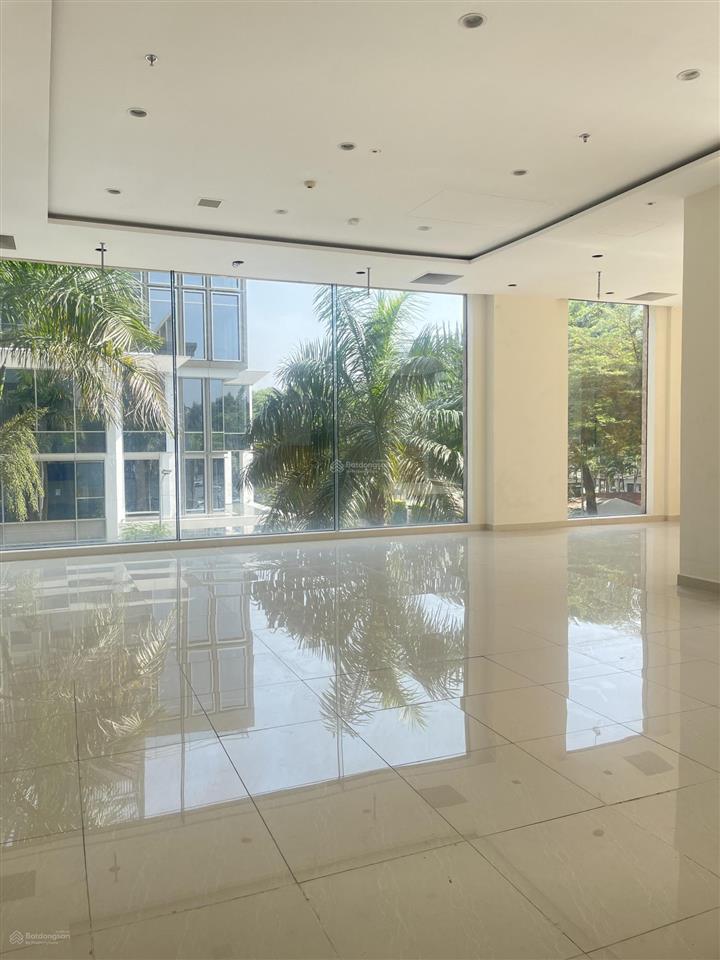 Cho thuê văn phòng diện tích 100m2 tại phú mỹ hưng q7, vp trống sẵn bàn giao ngay