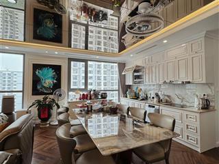 Bán căn hộ đập thông 4 ngủ rộng 207m2 park hill 2 đầy đủ đồ cao cấp mới tinh