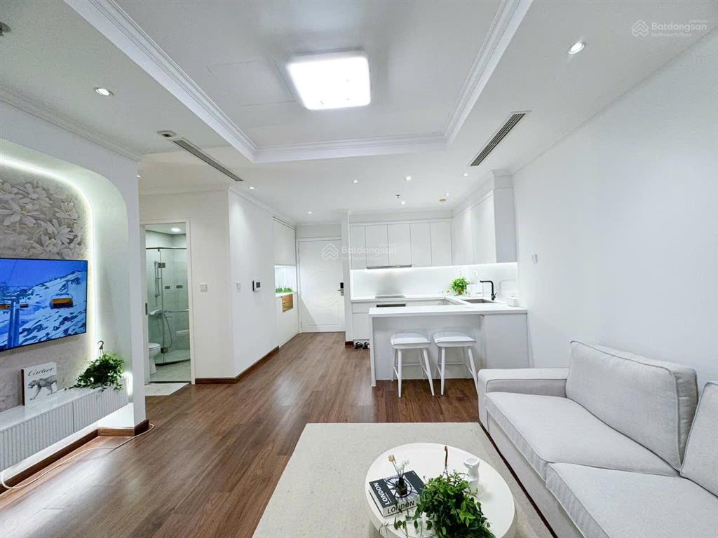 Chỉ với 9 tỷ sở hữu căn 2pn sáng tòa park 2 kđt times city, thiết kế đẹp đủ đồ