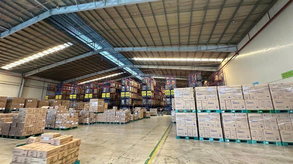 Nhà xưởng và kv tổng 25.000m2, tách lẻ từ 3000m2 trở lên tại kcn long hậu, kế kcn tân kim cần giuộc